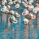 Corallo Con Piscina ヴィラ *