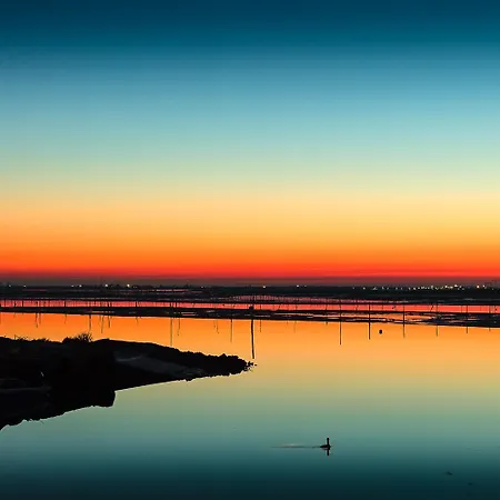 Corallo Villa Rosolina Mare