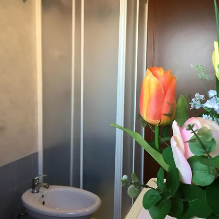 Corallo * Rosolina Mare