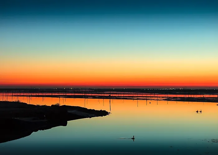 Corallo Villa Rosolina Mare