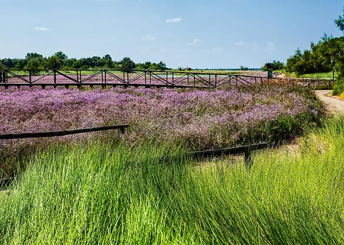 Villa Corallo Rosolina Mare